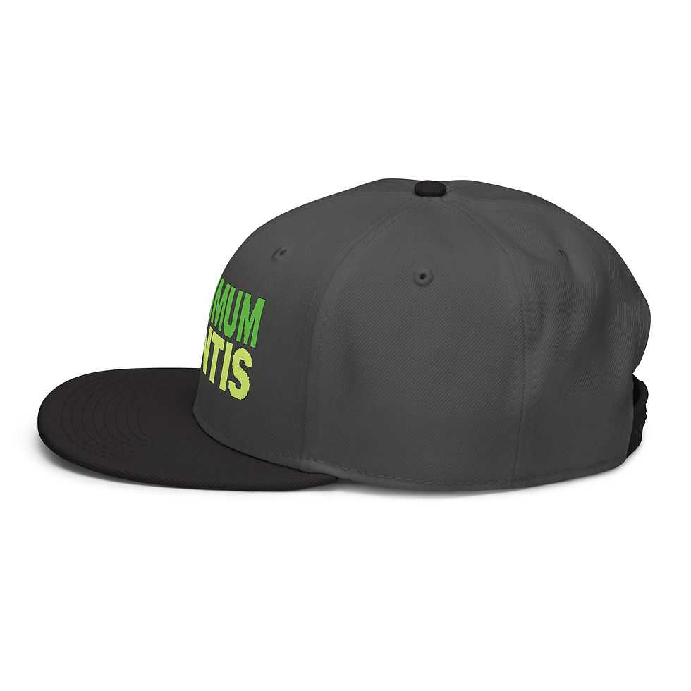 Thumbnail: Snapback Hat