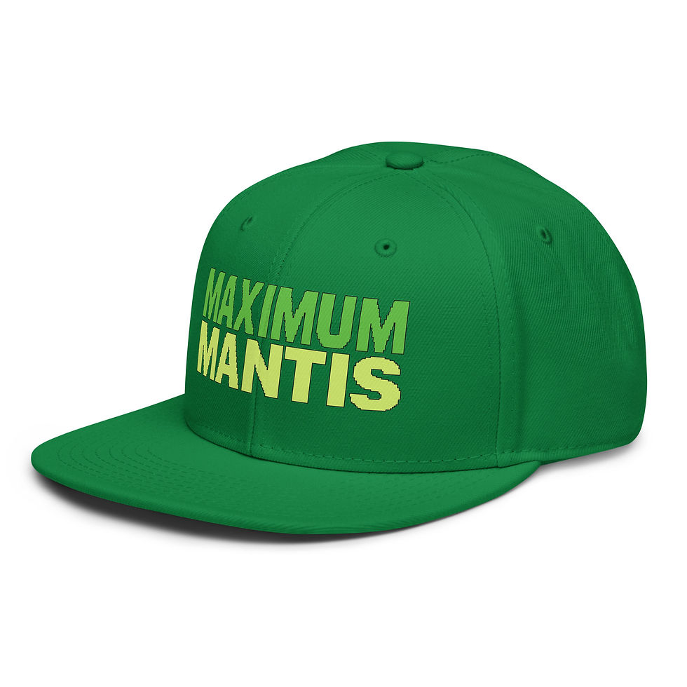 Thumbnail: Snapback Hat