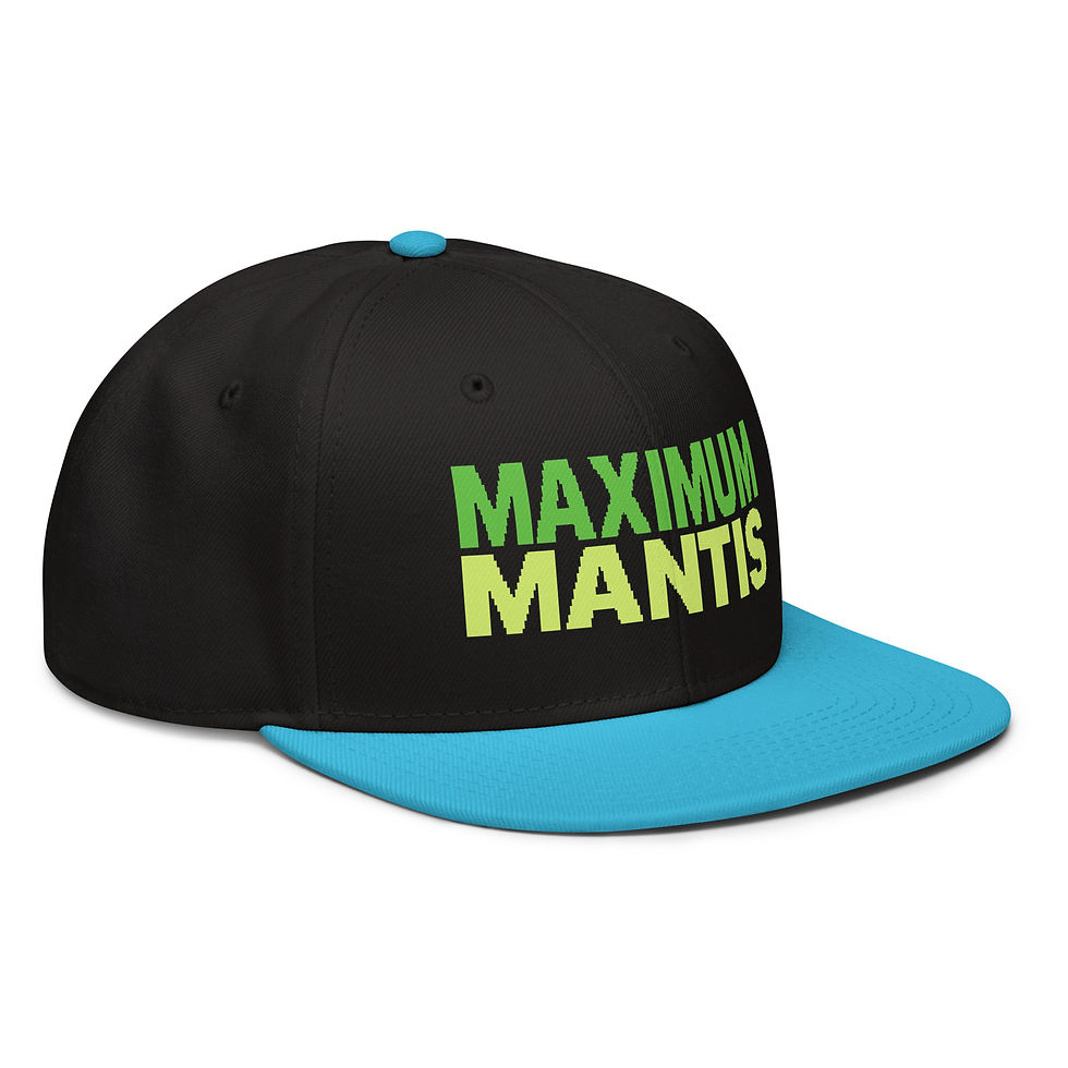 Thumbnail: Snapback Hat