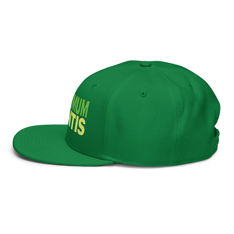 Thumbnail: Snapback Hat