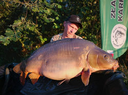 Karp 20+