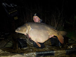 Karp 20+