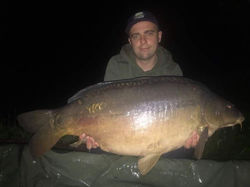 Karp 20+