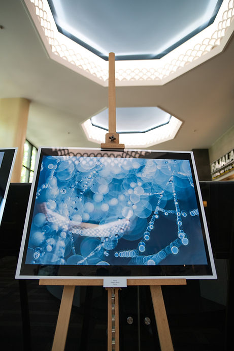 Finnish Photo Awards 2019 Nature | Rajala Pro Shop gallery