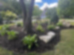 Plantings