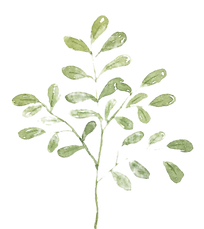 baum_edited.png