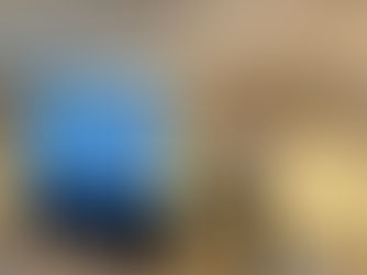 Dr Germán Puga visits New Orleans to attend the AAEA Annual Meeting 2024