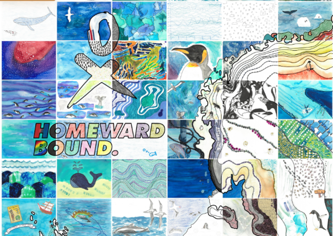 Examples of the various postcards created on the Homeward Bound voyage. View in detail.