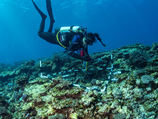CEEP contributes to three National Marine Science Strategy white papers