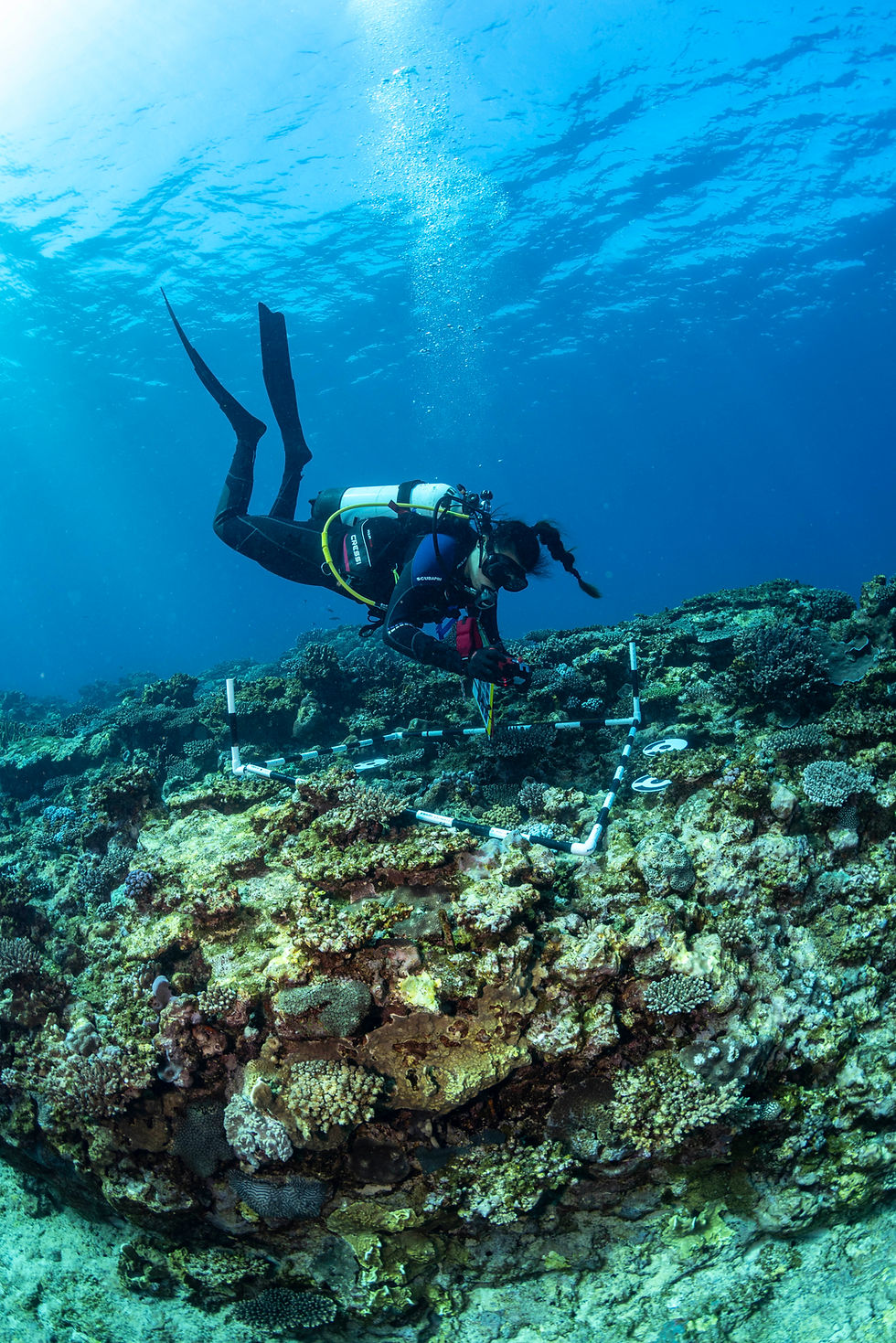 CEEP contributes to three National Marine Science Strategy white papers
