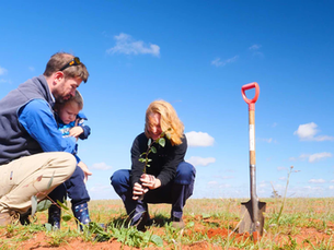 ABC Rural interviews Prof Kingwell on offsetting agricultural emissions through reforestation