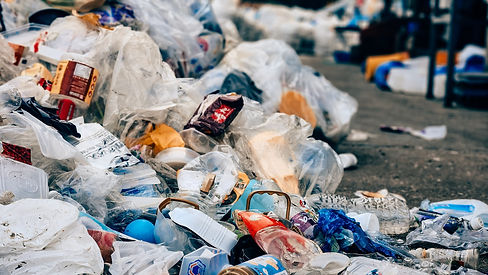 WhatsApp Image 2024-08-28 at 12.31.57 PM.jpeg