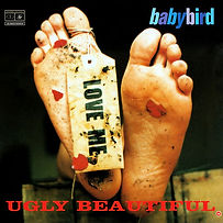 babybird.jpg
