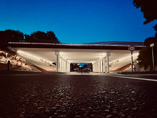 Lauwin-Planque s’illumine avec DEVRED ÉLECTRICITÉ !