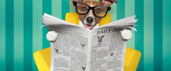 LEYENDO DOGGIE.jpg