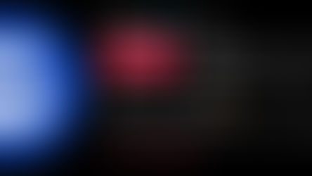 Chewy's social media strategy: Commerce, Community, and Competitive Gaps