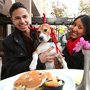 Parker_2015_Holiday_1308e2 - web.jpg