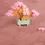 Thumbnail: Plus Plus Pink Bonsai