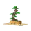 Thumbnail: Plus Plus Green Bonsai