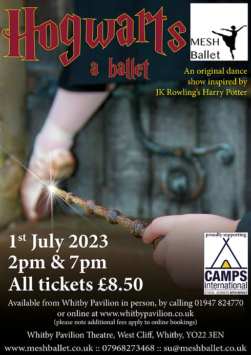 HogwartsBalletPoster.jpg