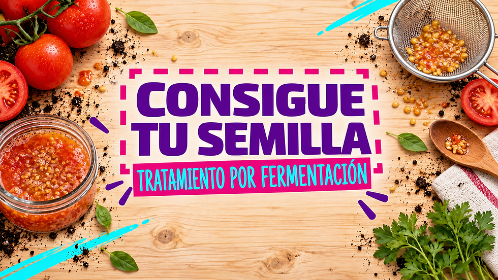 SEMILLA FERMENTACIÓN.png