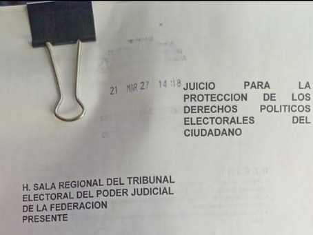 Protección de los derechos constitucionales, ante arbitrariedades electorales
