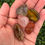 Thumbnail: Self Love & Happiness Crystal Set