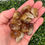 Thumbnail: Citrine Tumbles 20-30mm
