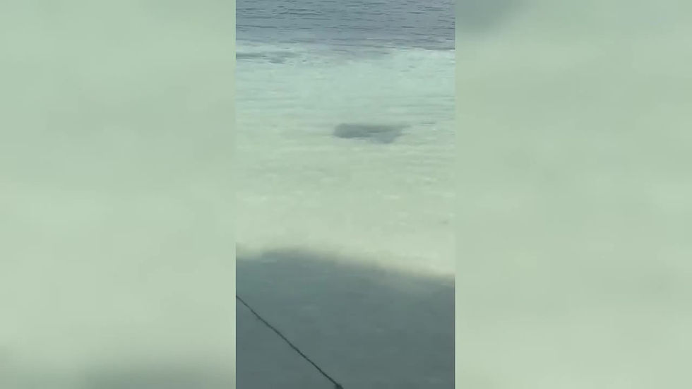 stingray_daylight_landscape_bright_start.mp4