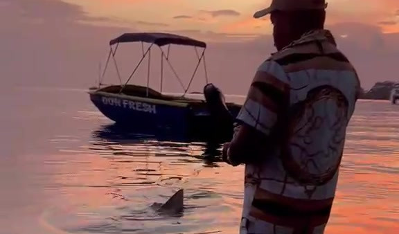 DonFresh standing beside the water at dusk as a nurse shark swims nearby