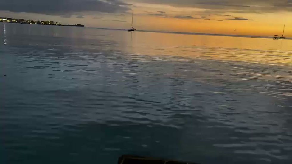 DonFresh_sunset_closing_trim_starts_with_sunset.mp4