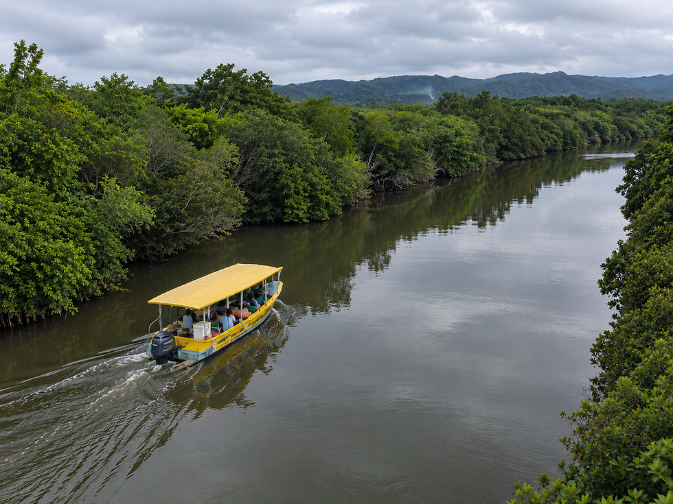 Boat travelling along a quiet tropical river surrounded by green mangrove trees