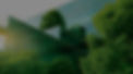ESG