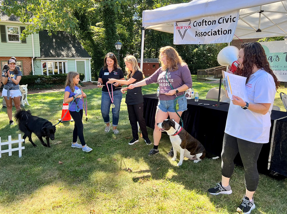 Crofton Dog Show and Pet Fair 2023
