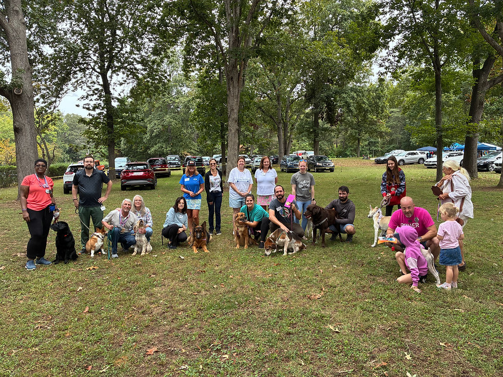 2025 Crofton Dog Show