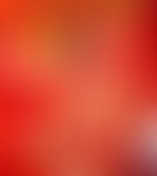 Miami Dolphins Cheerleaders Annual Swimsuit Fashion Show