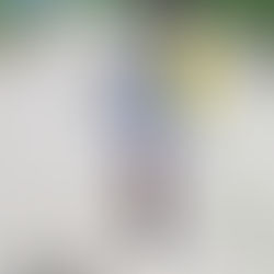 Sugar Hill Jamaica Queens