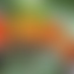 To Tweet Or Not To Tweet?