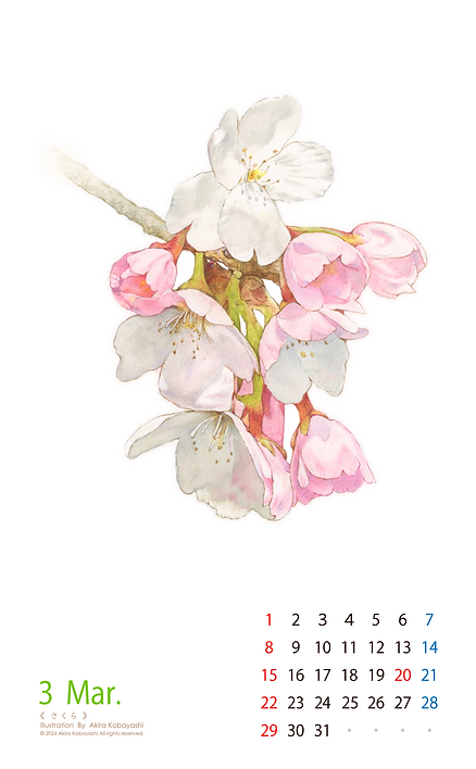 スクリーンショット 2025-12-26 10.04.21.png