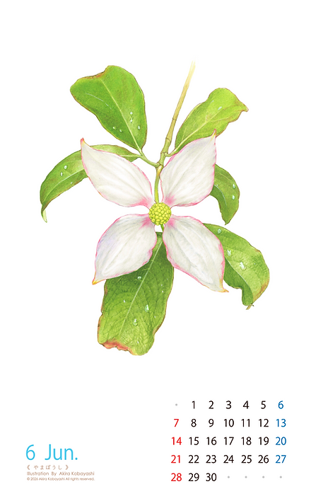 スクリーンショット 2025-12-26 10.03.12.png