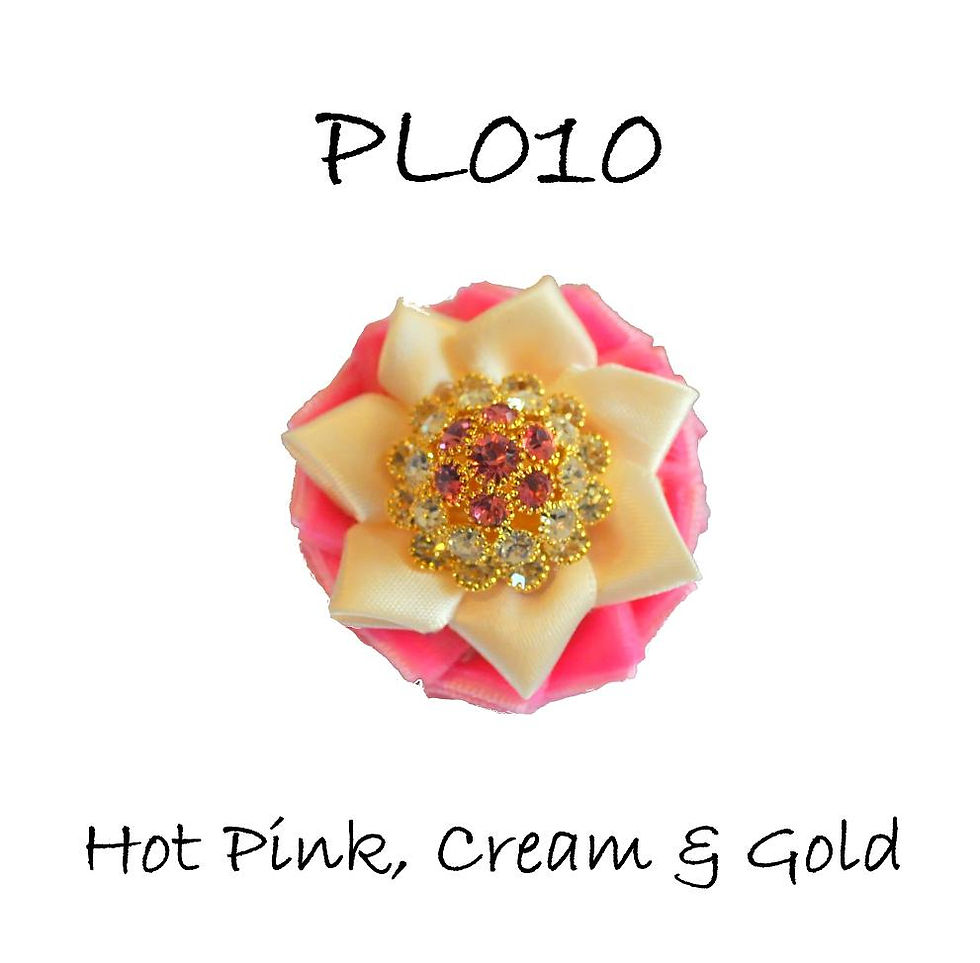 PL010