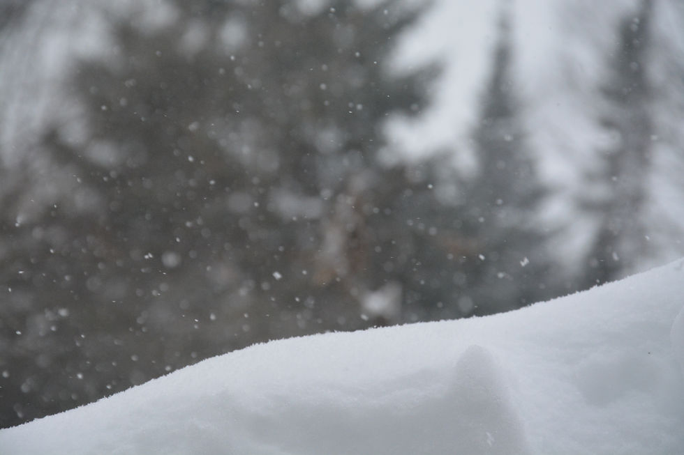 Snowy Crystals