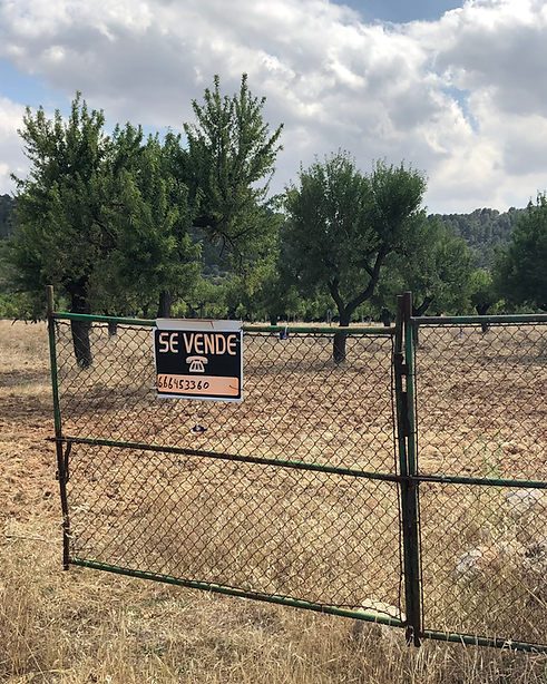 IMG_0388_Original 4.HEIC