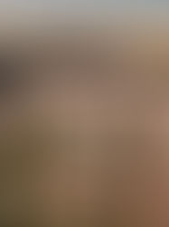 Finca la Vall at the foot of the Tramatuna Mountains