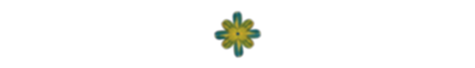 Untitled_Artwork 25.png