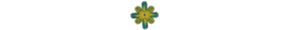 Untitled_Artwork 25.png