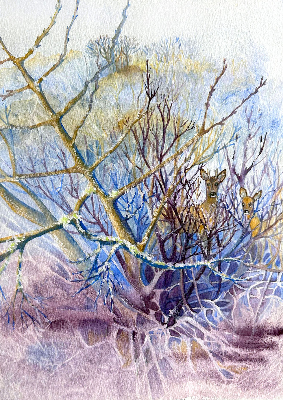 Winter - Deer in Frosty Trees