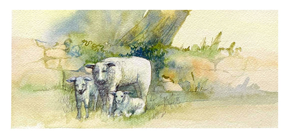 Original - Framed - £160
(Frame 16.5" x 18"/ 420 x 460mm)
A4 Print
Cards - A5, A6