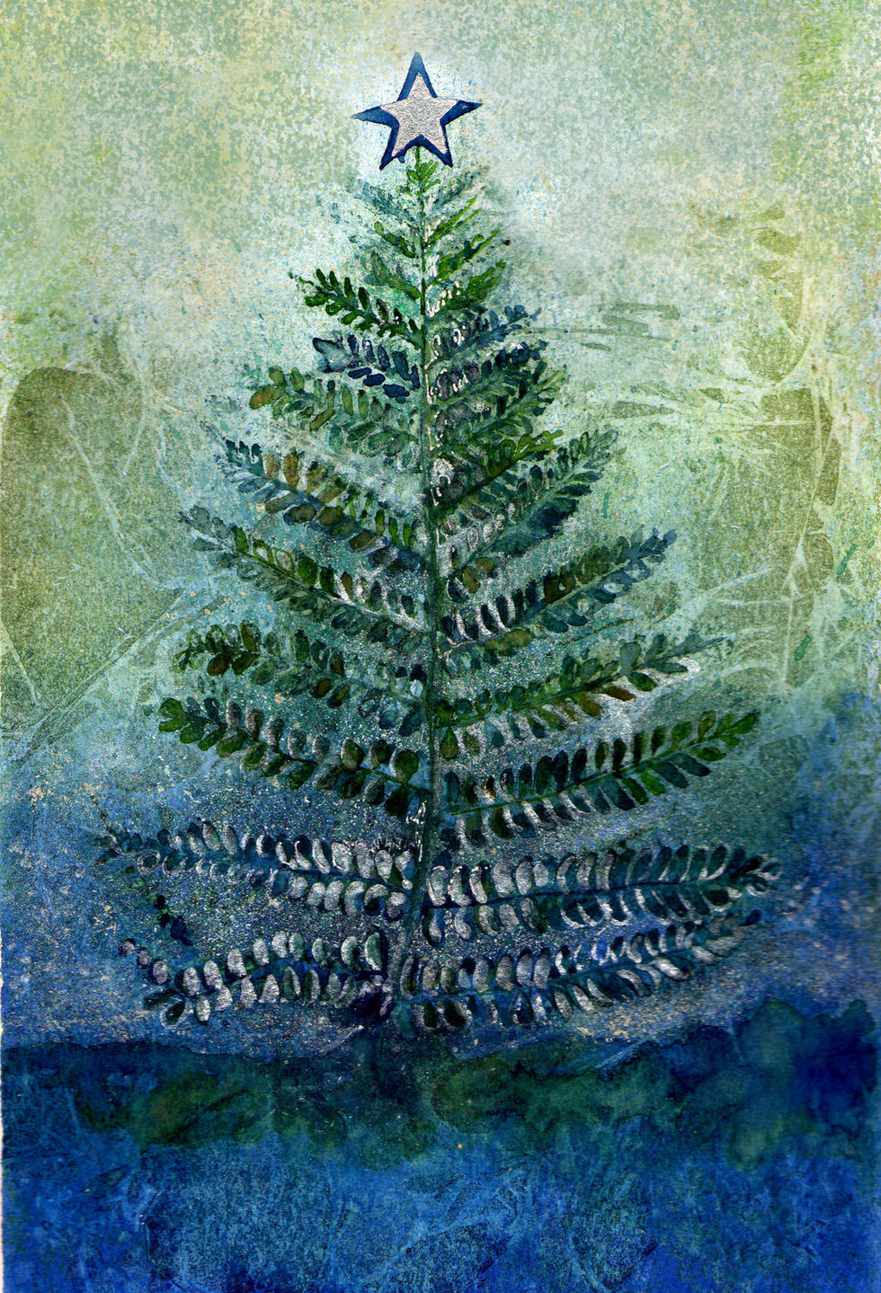 Winter - Christmas Tree Fern