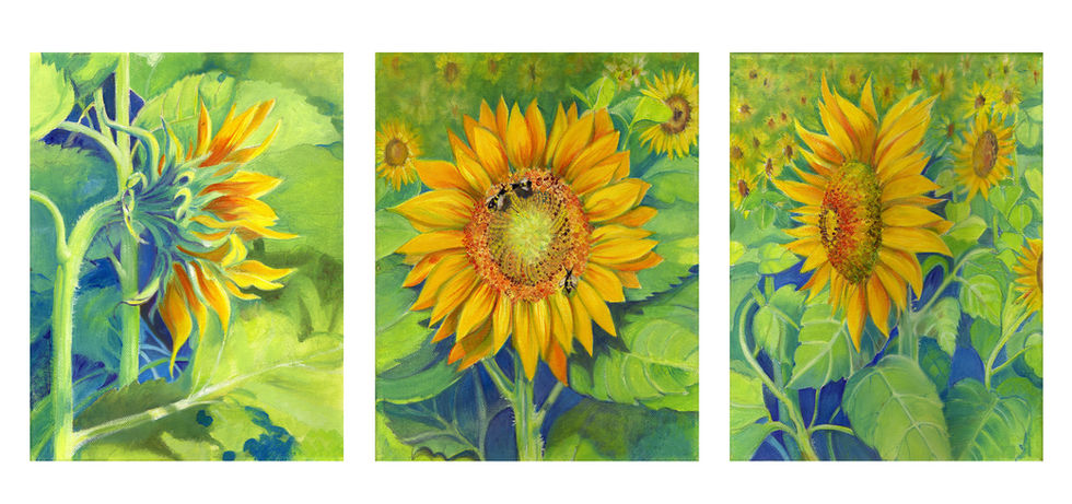 Summer - Sunflower Triptych